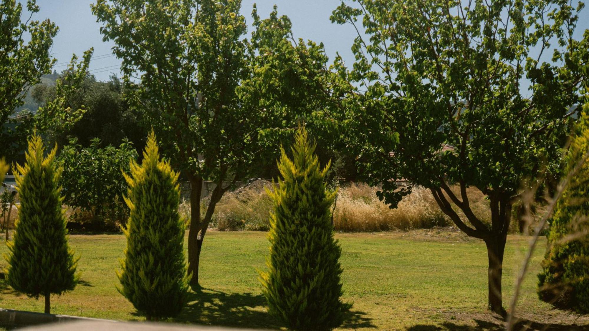 Vela Garden Resort Çeşme Exteriér fotografie